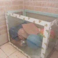 شیشه آکواریوم سالم