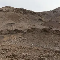 درحال حاضر به دوکارگر نیازمندیم