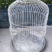 قفس بزرگ