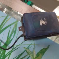 آکواریوم و ماهی|ماهی|کرمان, |دیوار