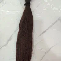 موطبیعی