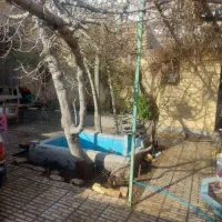 فروش کلنگی270متر/عرض15/ارتفاع دار/وحیدمیانی