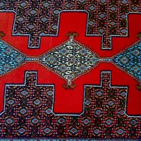 قالی دستباف رنگ گیاهی|فرش|سنندج, |دیوار