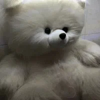 عروسک خرس بزرگ|اسباب‌بازی بچه|ملایر, |دیوار