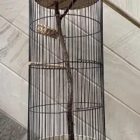 قفس گلدونی فوری