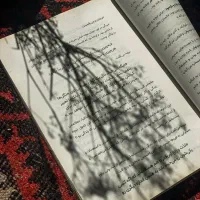 محتوا و تعامل پیج
