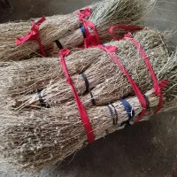 جارو دستی