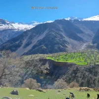 خونه درکلدوزخ ۱رهن کامل داده میشود