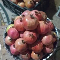 انار شیرین