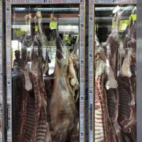 اجاره غرفه گوشت ومرغ فروشگاه ارزانسرا انار