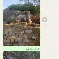 فروش 10راس اسب|اسب و تجهیزات اسبسواری|میناب, |دیوار