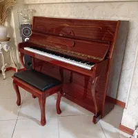 پیانو آگوستیک رونیش