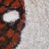 نقاشی برجسته اسپایدرمن|تابلو، نقاشی، عکس|بندرعباس, |دیوار