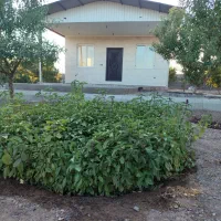 باغی سنددار در بهترین نقطه شبستر|فروش خانه و ویلا|شبستر, |دیوار