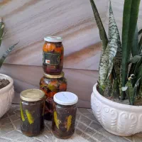 ترشیجات|خوردنی و آشامیدنی|مشهد, کاظم آباد|دیوار