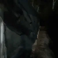 ۲۰۰ متر جهت کارگاه و انبار|اجارهٔ دفتر صنعتی، کشاورزی، تجاری|کن, |دیوار