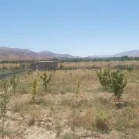 باغ-سرچشمه
