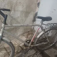 فروش دوچرخه ۲۶