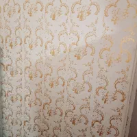 درب اطاق  تلویزیون. فریز قفس پرنده  جاروبرقی