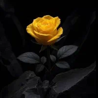 سیم کارت همراه