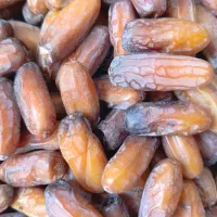 انواع خرما خشک