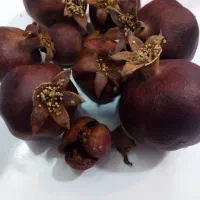 انار طبیعی خشک تزئینی|صنایع دستی و سایر لوازم تزئینی|مشهد, رده|دیوار