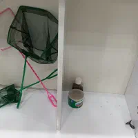 آکواریوم شیشه محدب|ماهی|رباط‌کریم, رباط‌کریم|دیوار