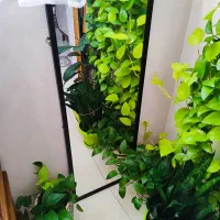 ایینه قدی
