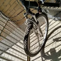 دوچرخه دماوند|دوچرخه، اسکیت، اسکوتر|تهران, شهرک چیتگر|دیوار