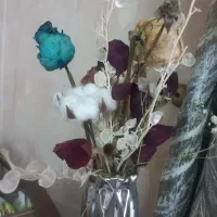 کالسکه و کریر و وروک