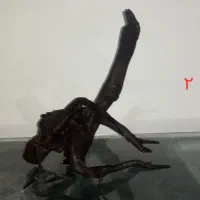 چوب اکواریوم