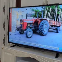 49 اینچ نو کره ای الج ی|تلویزیون و پروژکتور|لردگان, |دیوار