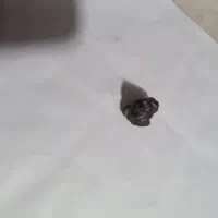 مشکوک به شهاب سنگ|کلکسیون اشیاء عتیقه|رشت, کوی جام جم|دیوار