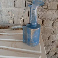 کفتر|پرنده|شیراز, حجت آباد|دیوار