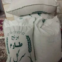 برنج سرگل