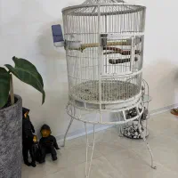 قفس کاسکو و طوطی سایز بزرگ