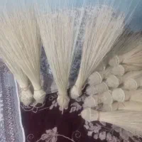 جارودستی|لوازم نظافت|زابل, |دیوار