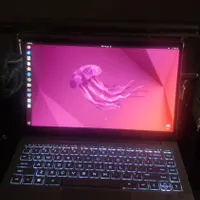 HP PAVILON 14 نسل ۱۲