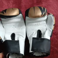 دستکش بوکس نو نو