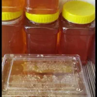 عسل نمونه لرستان