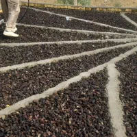 بنای شامل تیغه شیب بندی  سیمانکاری کاشی کاری