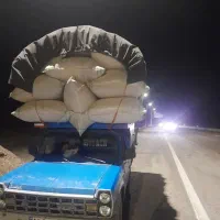 با سلام کاه گندم دیم با کیفیت