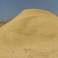 کاه کمباین فروشی ۱۰ تن یکجا