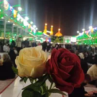 کا روان زیارتی ضامن آهو