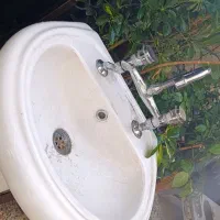 روشور و شیر دوقلو