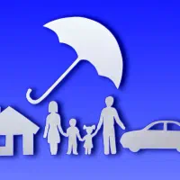 دانا،بازار بیمه ها|خدمات مالی، حسابداری، بیمه|یزد, |دیوار