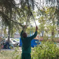 خدمات فضای سبز از صفر تا صد|خدمات باغبانی و درختکاری|بندر انزلی, گلسرخ|دیوار