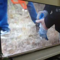 تلویزیون 55اینچ