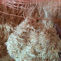 کاه نرم درجه یک کرمانشاه|خدمات باغبانی و درختکاری|سبزوار, قصبه غربی|دیوار