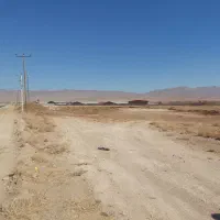 زمین با مجوز گلخانه|فروش زمین و ملک کلنگی|زنده رود, |دیوار